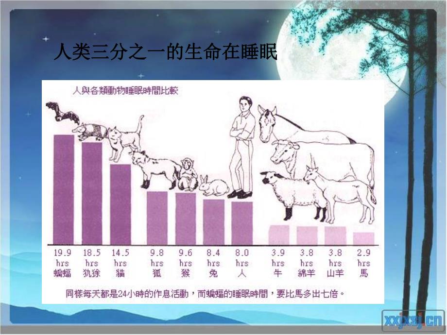 睡眠与觉醒的脑机制.ppt_第2页