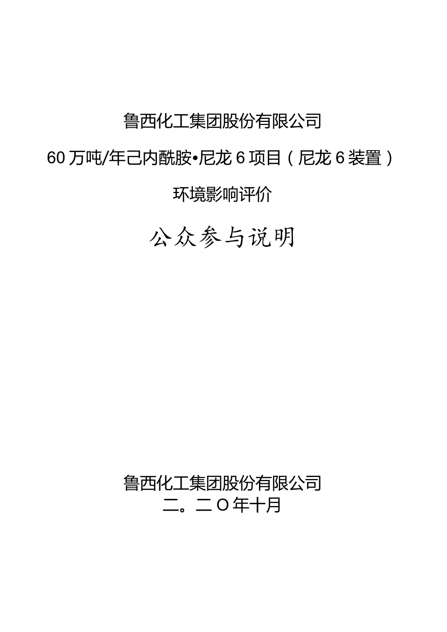 鲁西化工集团股份有限公司60万吨年己内酰胺尼龙6项目尼龙6装置环境影响评价公众参与说明.docx_第1页