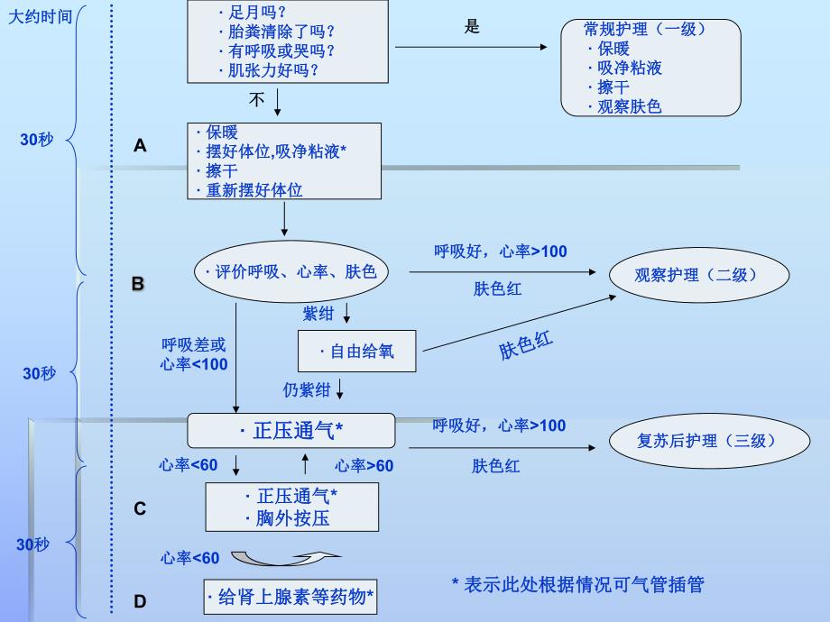 新生儿新法复苏.ppt_第3页