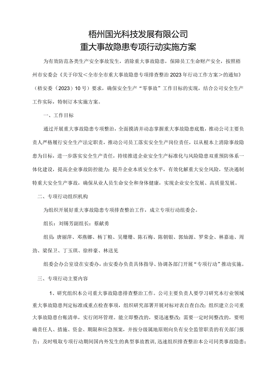 重大事故隐患专项行动实施方案模板.docx_第1页