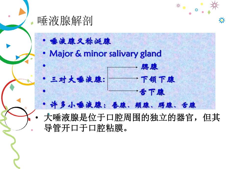 唾液腺疾病影像学.ppt_第2页