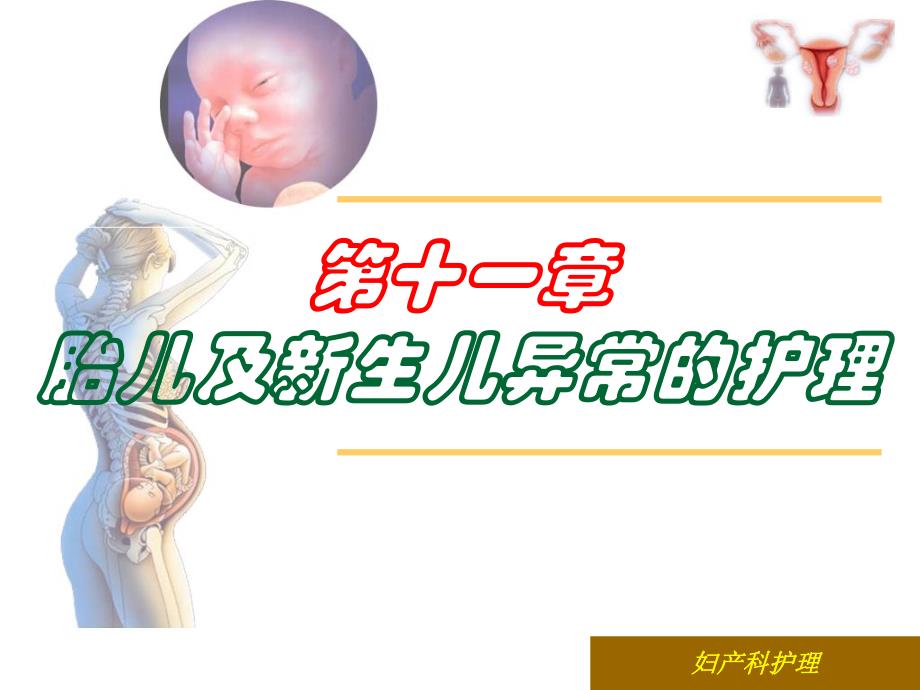 第十一章胎儿及新生儿异常的护理.ppt_第1页