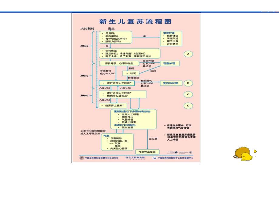 新生儿复苏过程及注意的问题.ppt_第3页