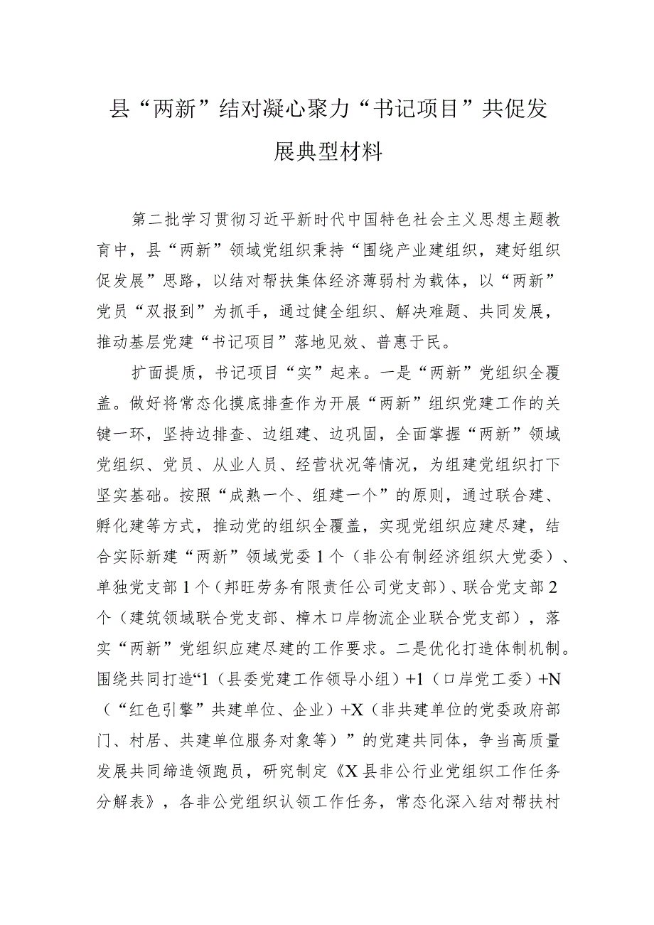 县“两新”结对凝心聚力“书记项目”共促发展典型材料.docx_第1页