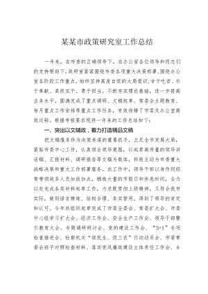某某市政策研究室工作总结.docx