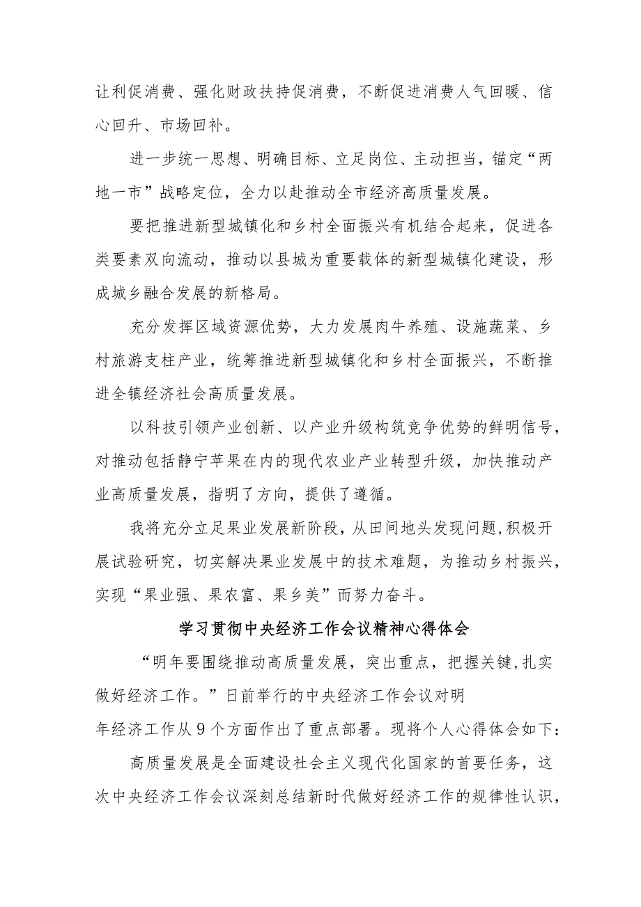 民营企业党员干部学习贯彻中央经济工作会议精神.docx_第2页