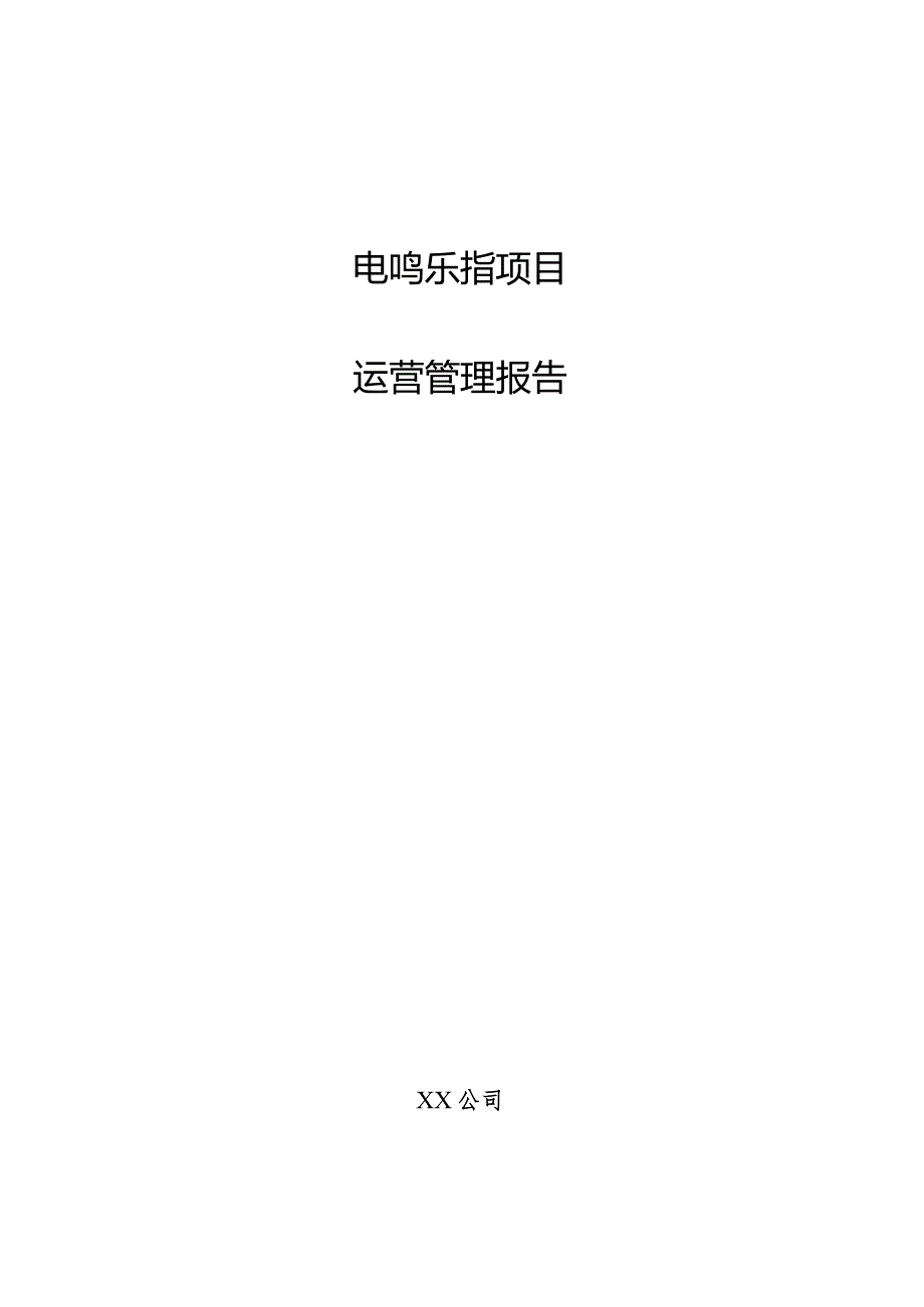 电鸣乐器项目运营管理报告.docx_第1页