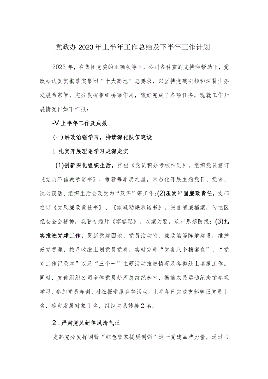 党政办2023年上半年工作总结及下半年工作计划.docx_第1页