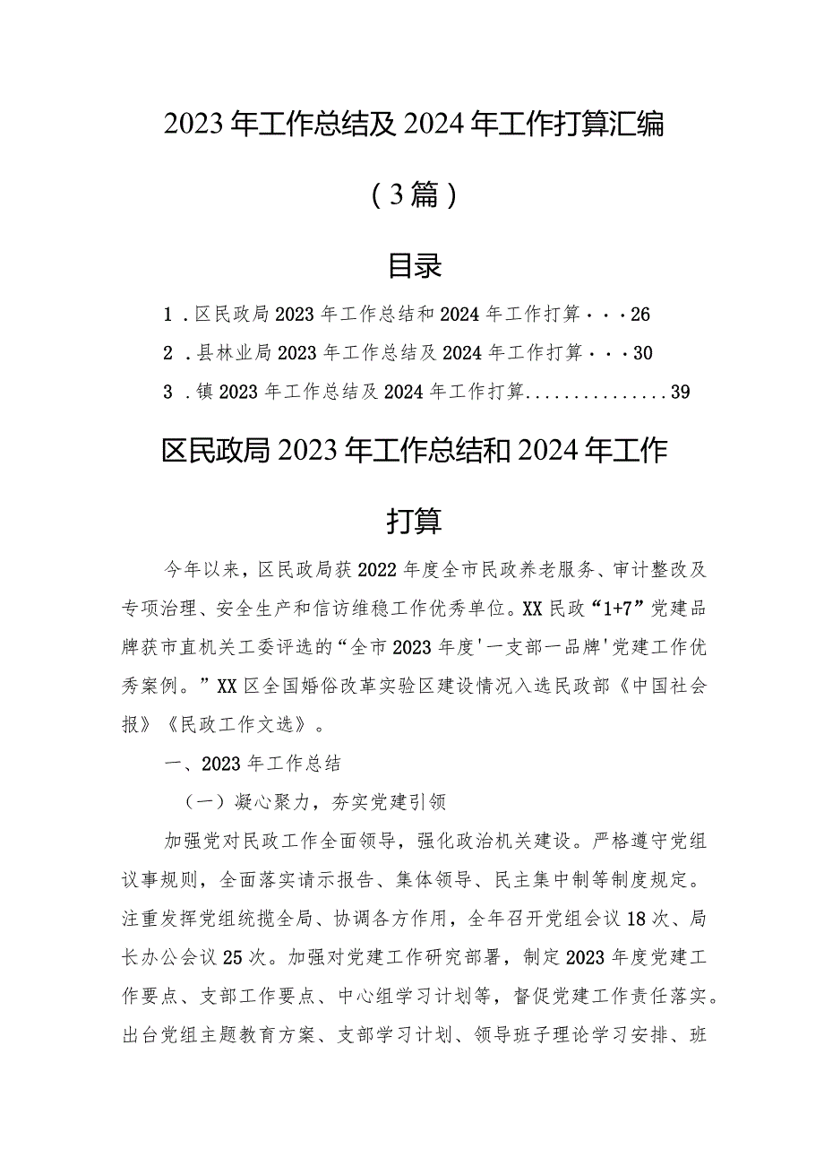 2023年工作总结及2024年工作打算汇编（3篇）.docx_第1页