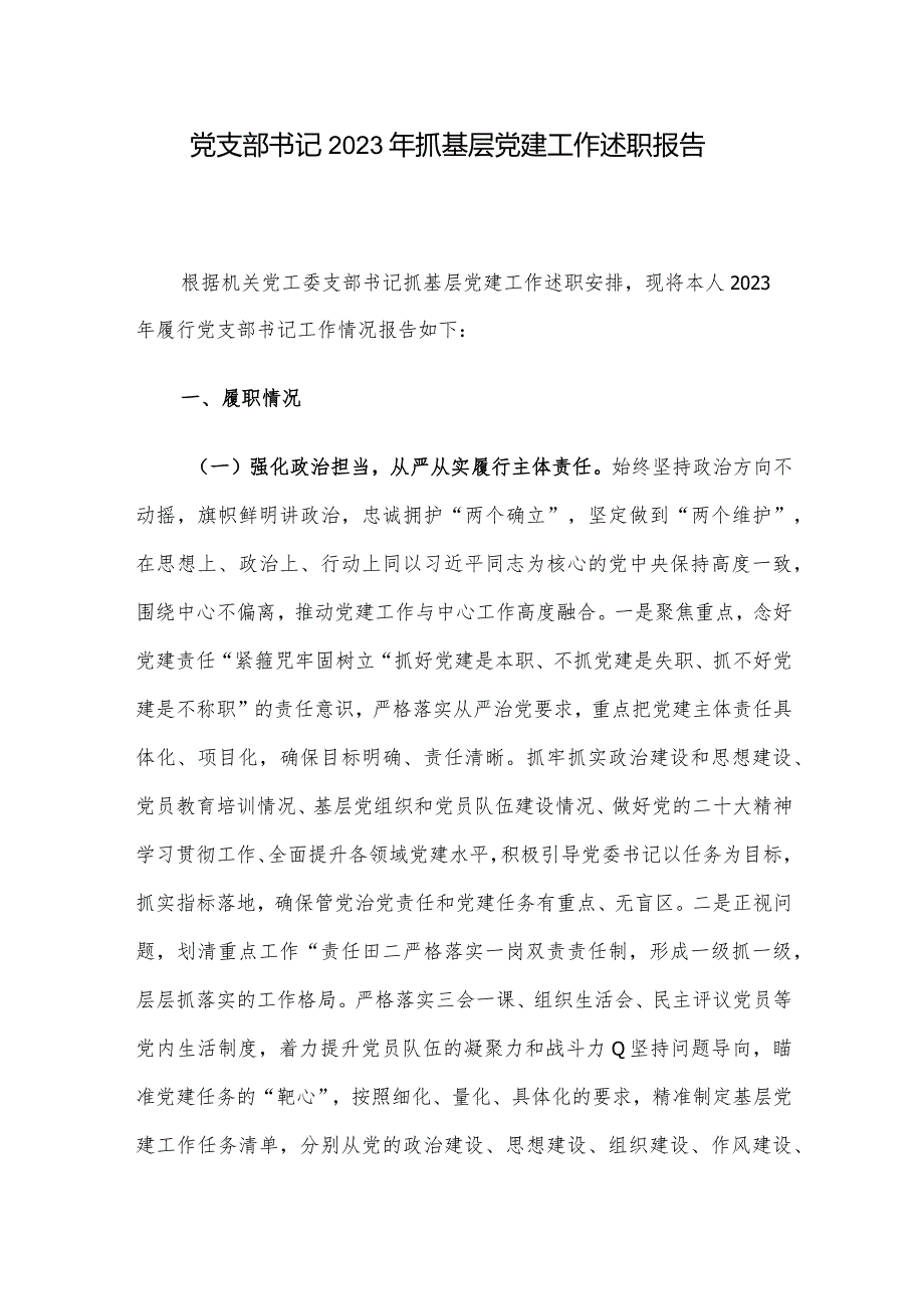 党支部书记2023年抓基层党建工作述职报告.docx_第1页