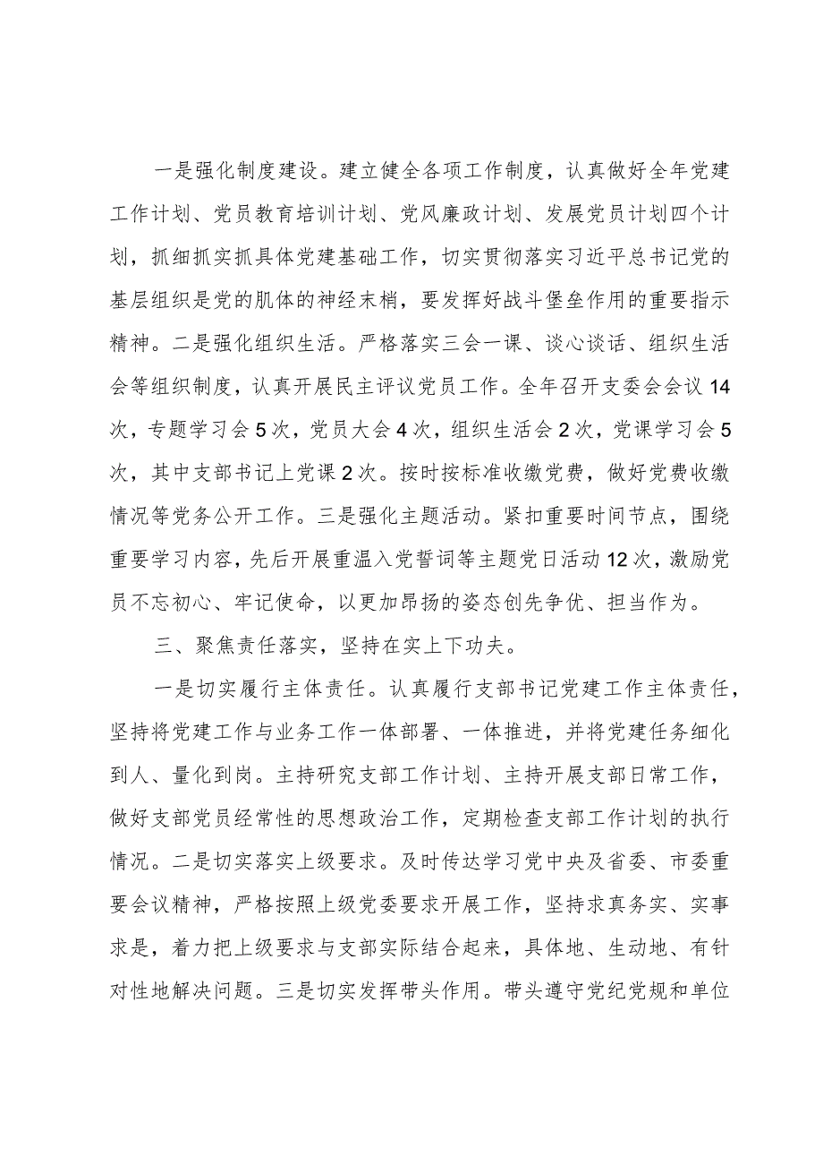 党支部书记2023年抓党建工作述职报告.docx_第2页