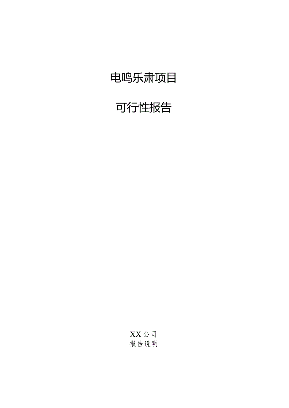 电鸣乐器项目可行性报告.docx_第1页