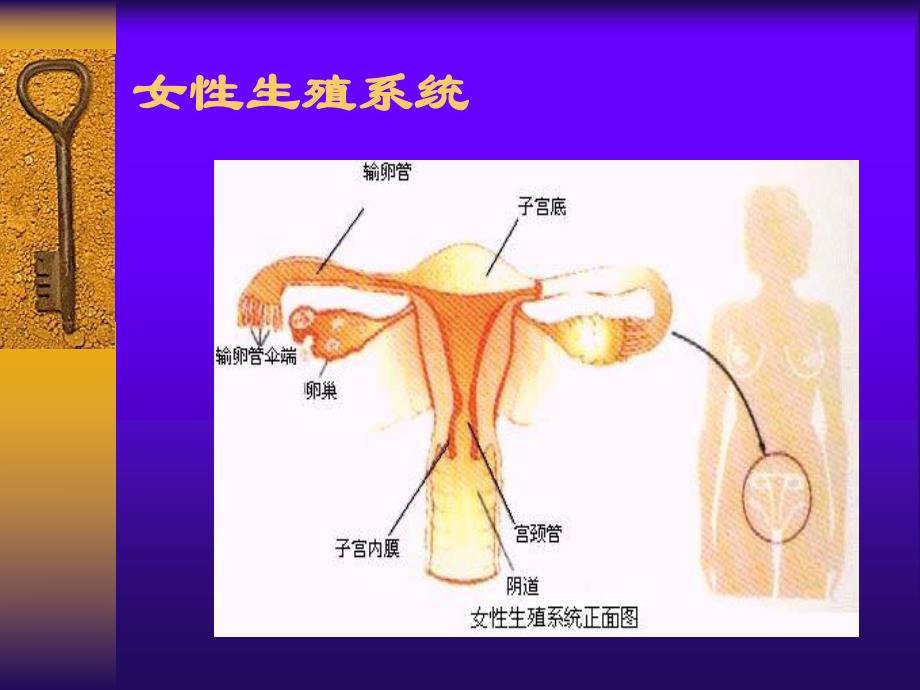 不孕不育知多少(PPT73).ppt_第2页