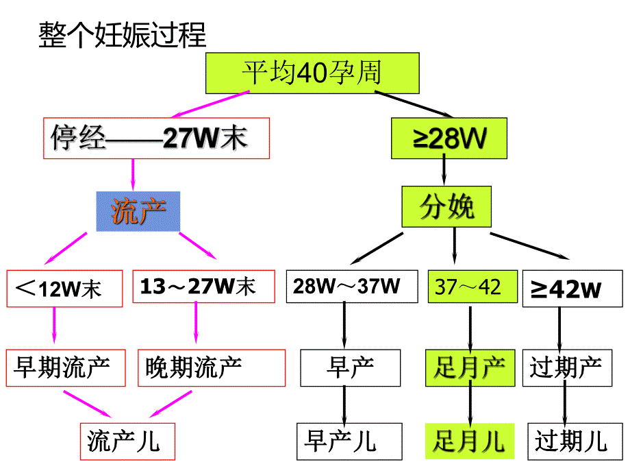 分娩期操作要点解析.ppt_第3页