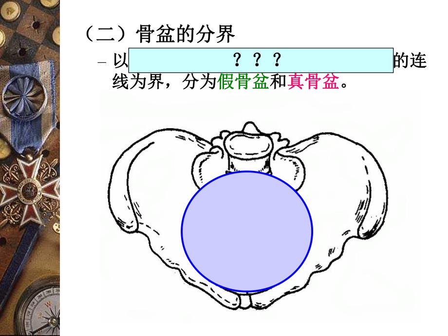 妇产科骨盆内、外测量.ppt_第1页