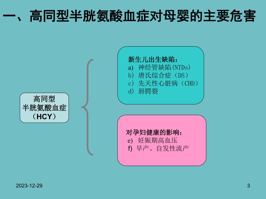 叶酸利用能力遗传检测.ppt_第3页