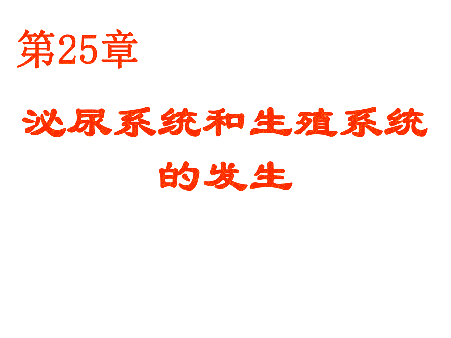 25泌尿系统和生殖系统的发生.ppt_第1页