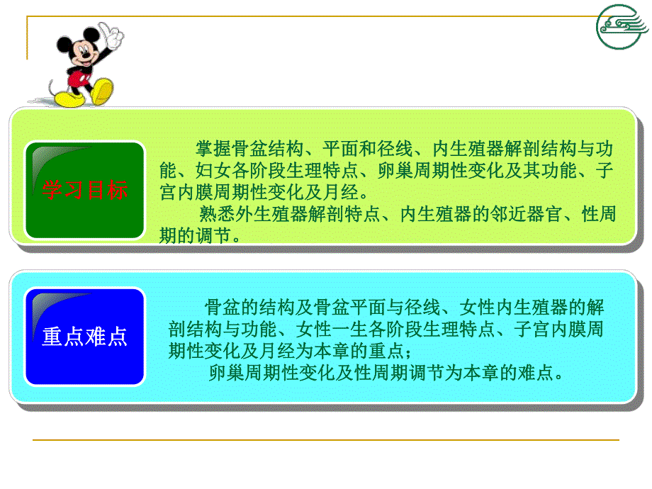 妇产科第二章女性生殖系统解剖及生理资料.ppt_第2页