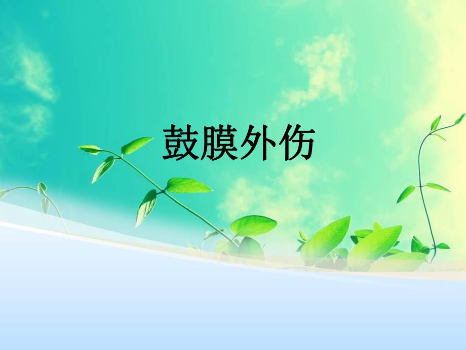 鼓膜外伤完整.ppt_第1页