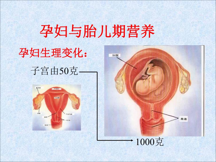 女性健康与营养.ppt.ppt_第3页