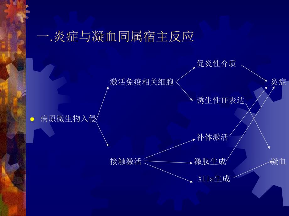 凝血－炎症网络与抗凝幻灯.ppt_第2页