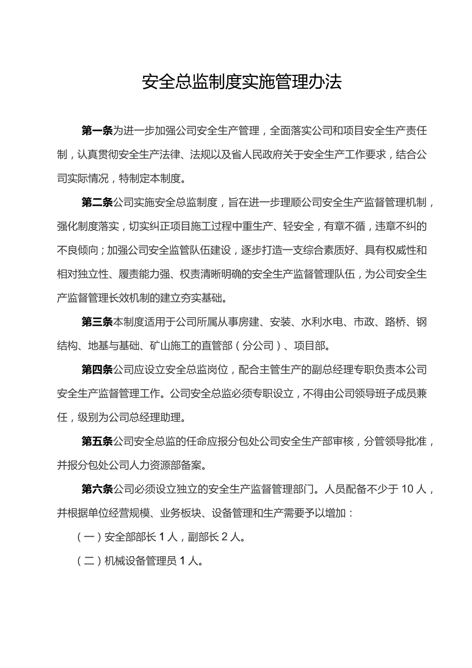 集团公司安全总监制度实施管理办法范文.docx_第1页