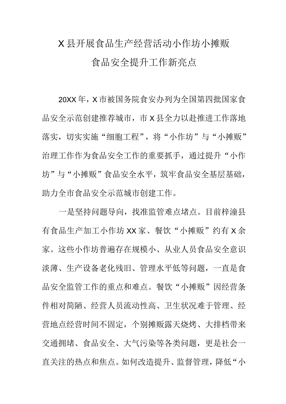 X县开展食品生产经营活动小作坊小摊贩食品安全提升工作新亮点.docx_第1页