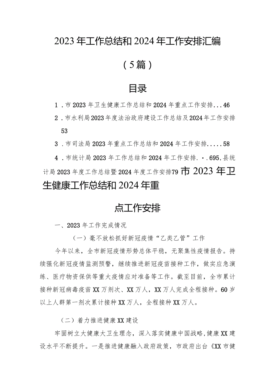 2023年工作总结和2024年工作安排汇编（5篇）.docx_第1页