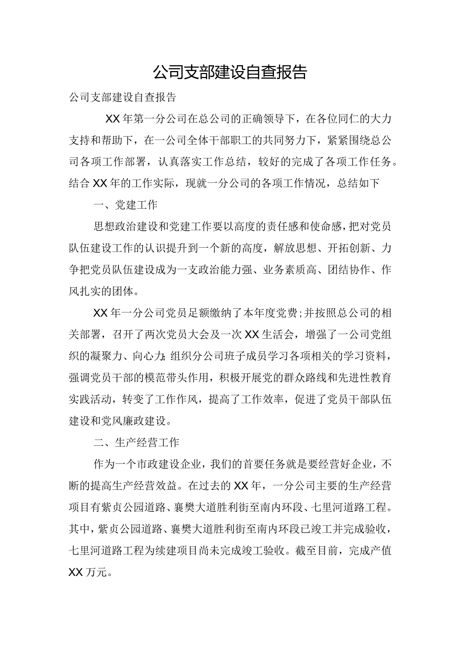 公司支部建设自查报告.docx_第1页