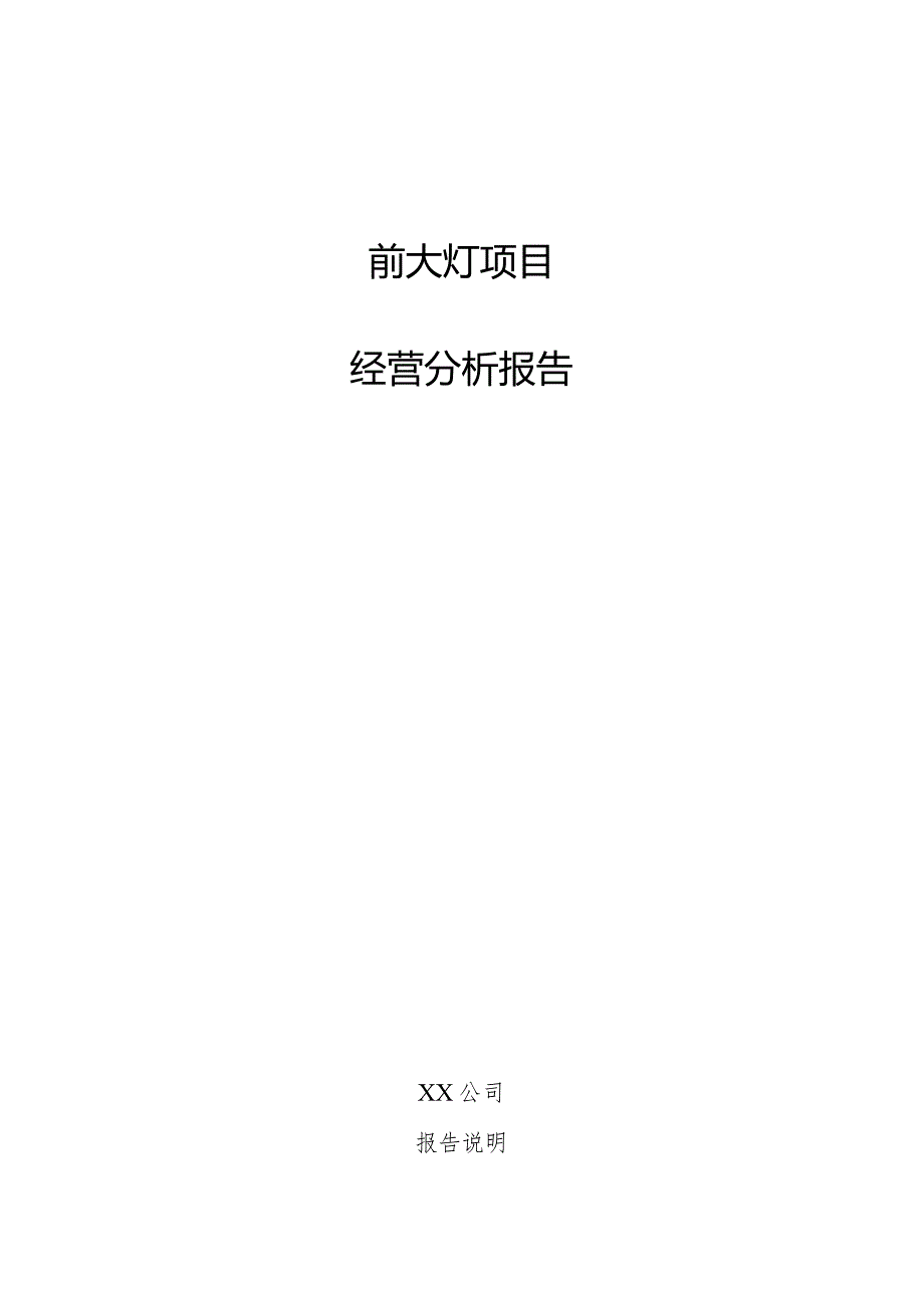 前大灯项目经营分析报告.docx_第1页