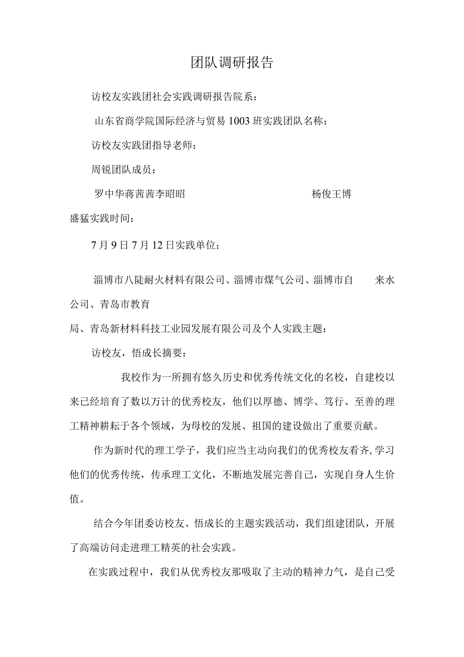 团队调研报告.docx_第1页