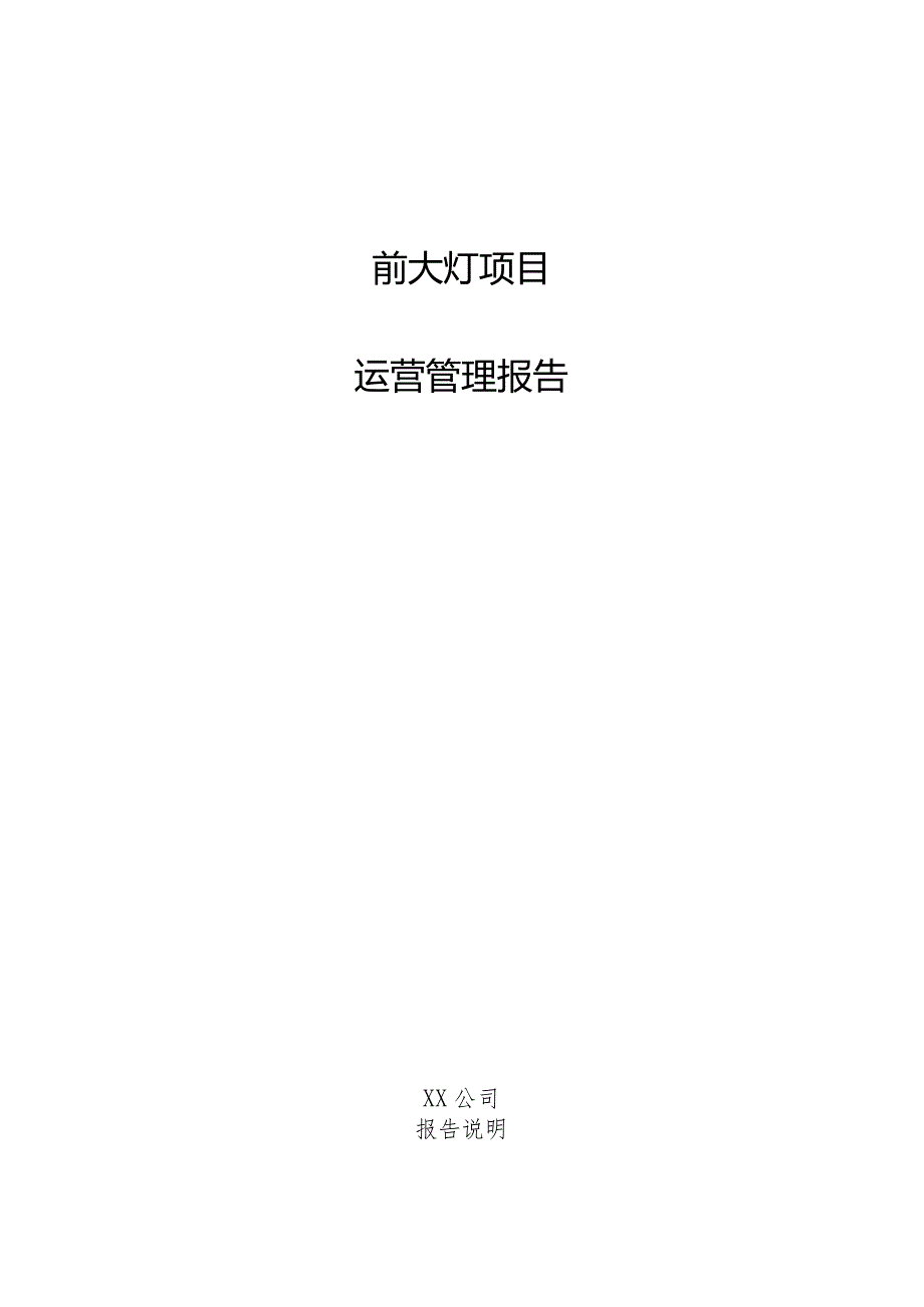 前大灯项目运营管理报告.docx_第1页