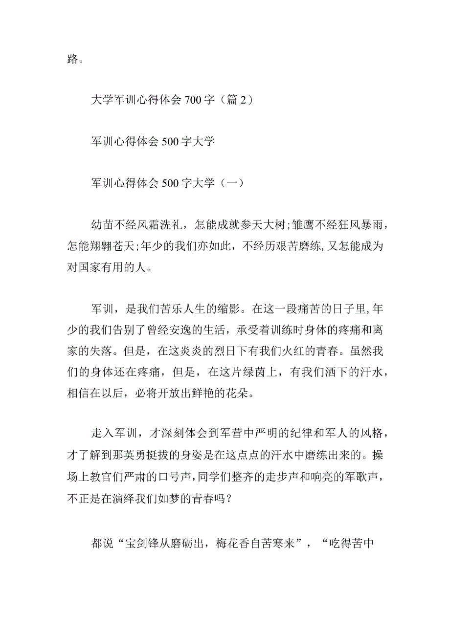 大学军训心得体会700字优选.docx_第2页