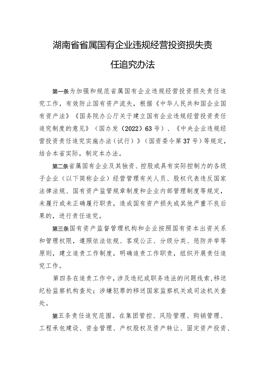 湖南省省属国有企业违规经营投资损失责任追究办法.docx_第1页