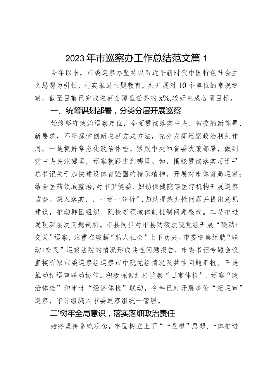 2023年市巡x办工作总结察汇报报告2篇.docx_第1页