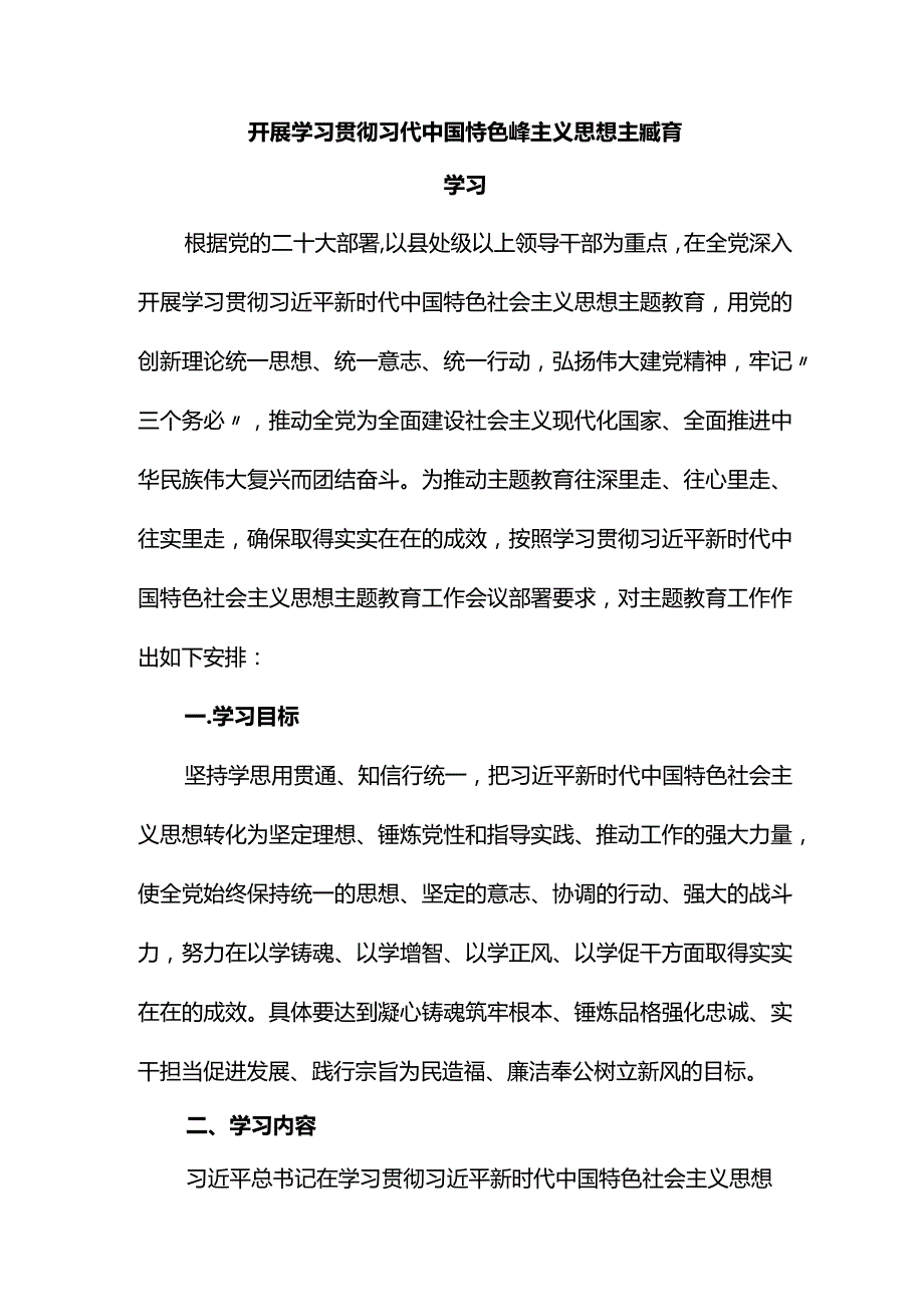 2023党支部开展主题教育学习计划学习方案范文.docx_第1页