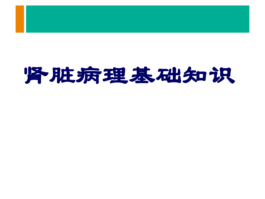 肾活检病理检查及肾脏病理基础知识.ppt.ppt_第2页