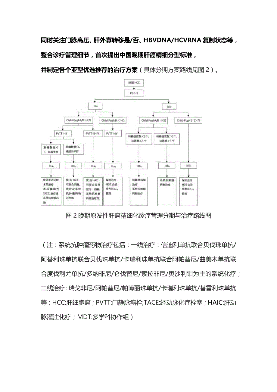 晚期原发性肝癌精细化诊疗管理专家共识（2023年版）重点内容.docx_第3页