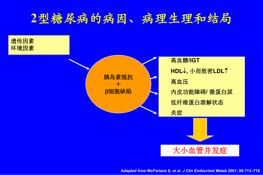 糖尿病药物治疗问题与失误.ppt_第2页