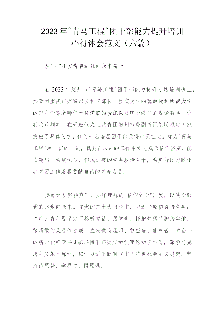 2023年＂青马工程＂团干部能力提升培训心得体会范文(六篇).docx_第1页