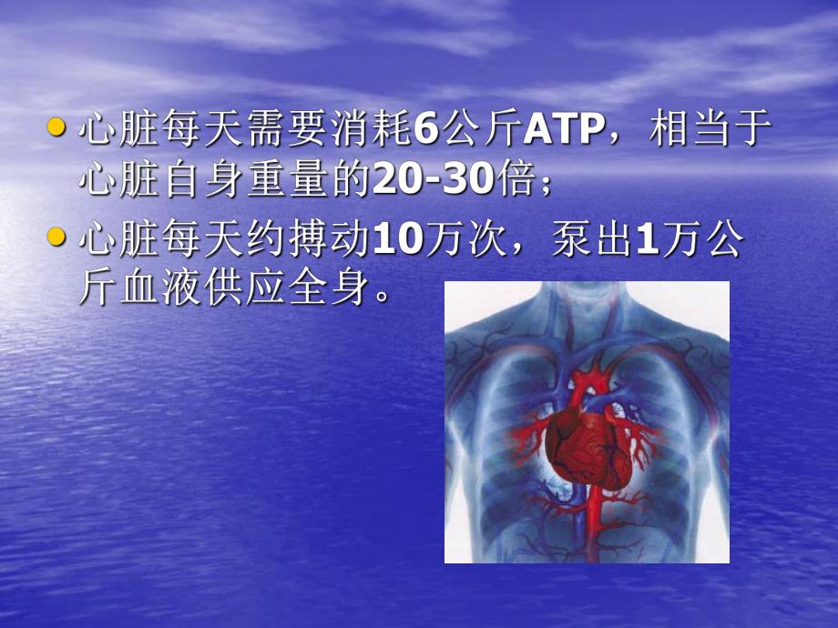 缺血性心脏病的能量代谢治疗.ppt_第3页