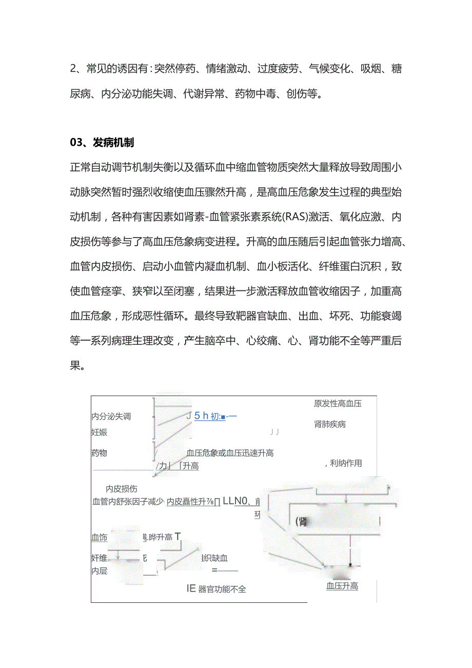 2023高血压危象的患者的紧急处理措施.docx_第2页