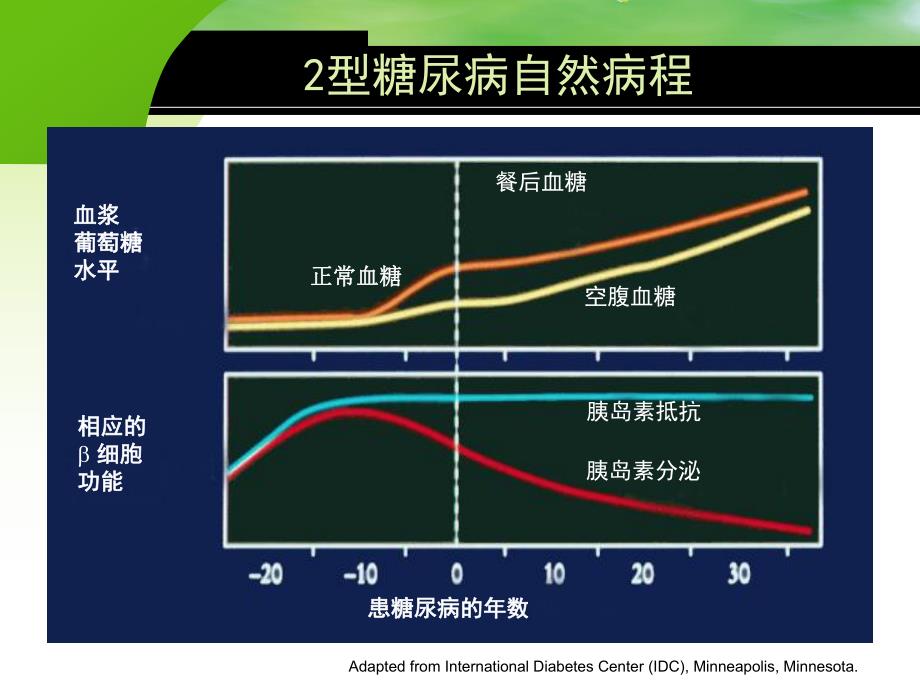 糖尿病口服降糖药物治疗.ppt_第2页