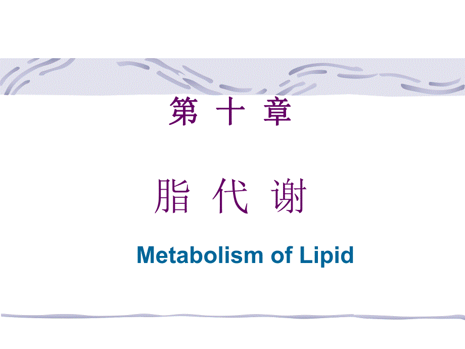 脂代谢培训教学PPT.ppt_第1页