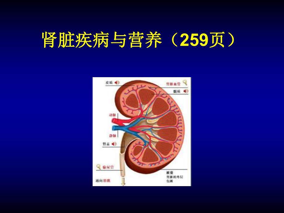 肾脏疾病与营养.ppt_第1页