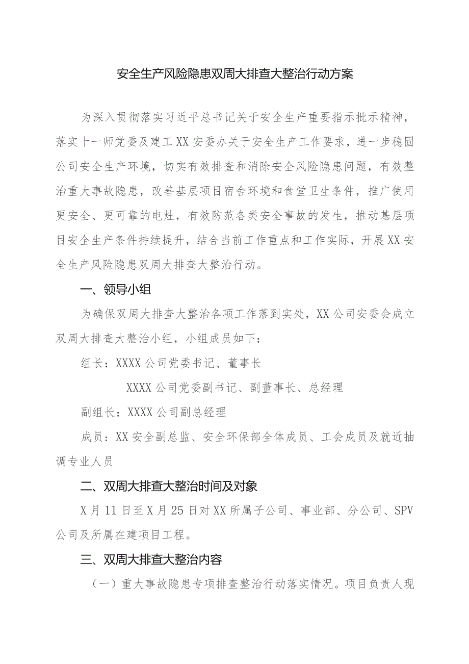 安全生产风险隐患双周大排查大整治行动方案.docx_第1页