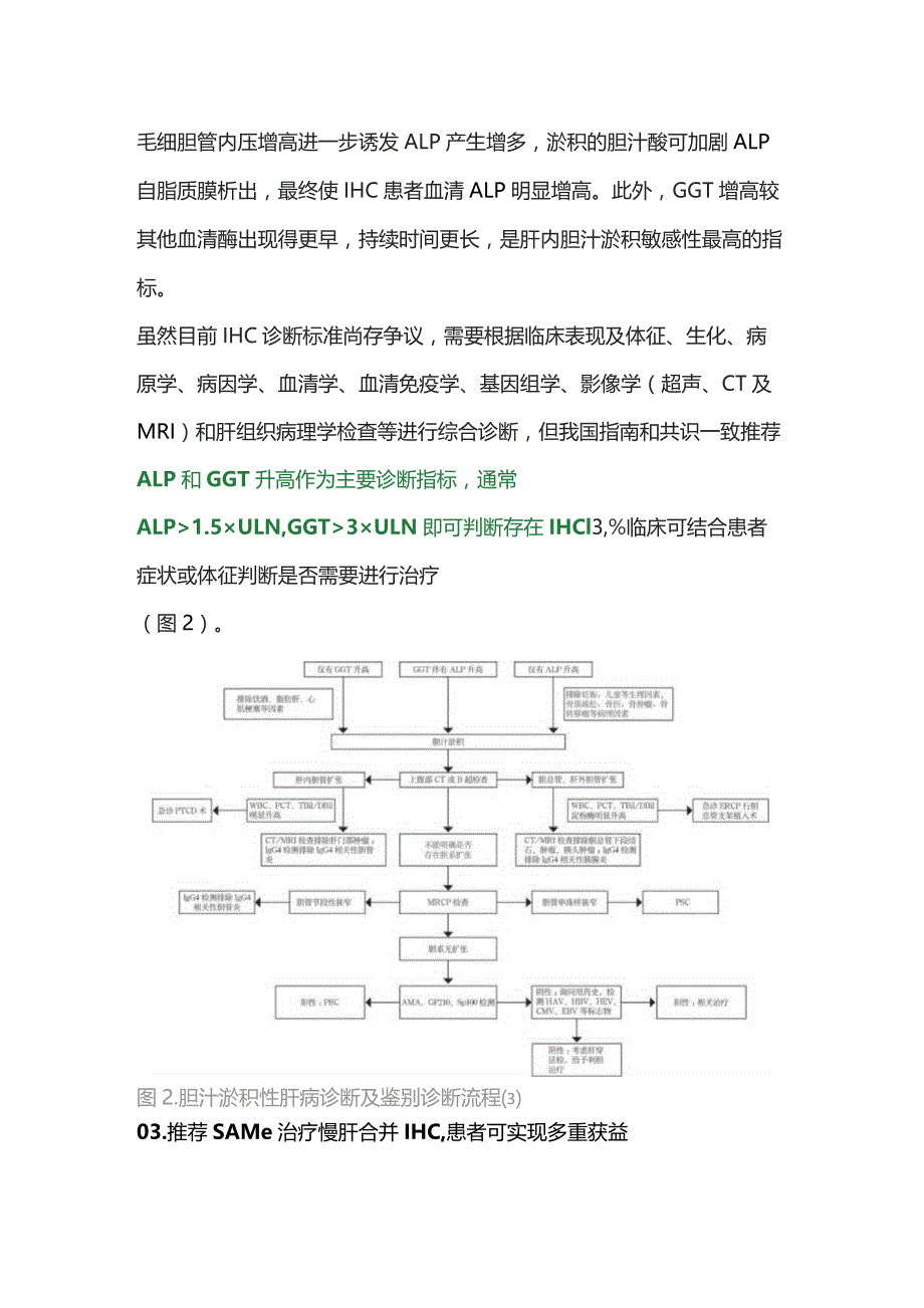 2023慢性肝病合并胆汁淤积症.docx_第3页