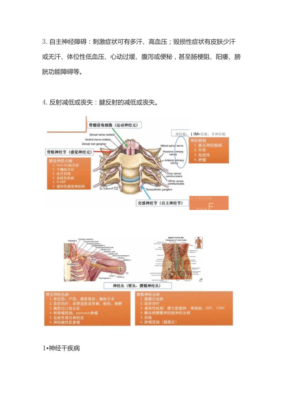 2023周围神经病的临床诊断思路.docx_第2页