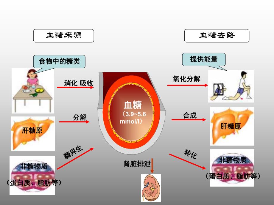 糖尿病相关知识（PPT 精品） .ppt_第2页