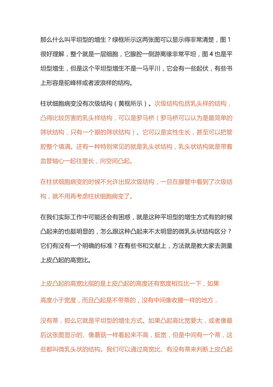 2023《乳腺增生性病变中的柱状细胞病变》柱状细胞病变的共同组织学特征.docx_第3页